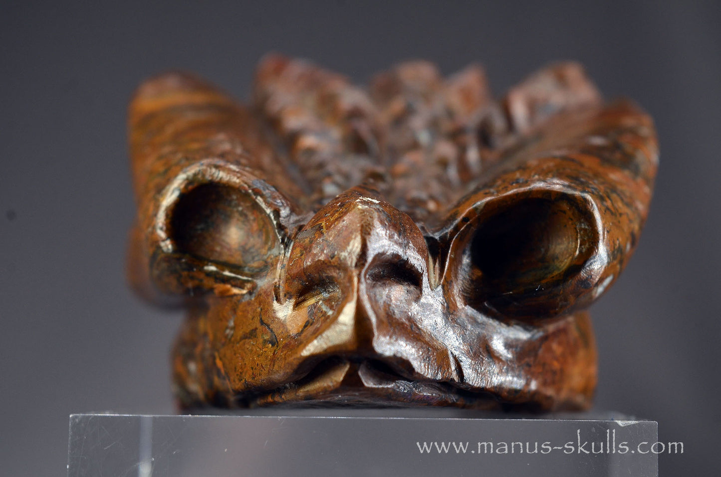 Stromatolite Alien Dragon
