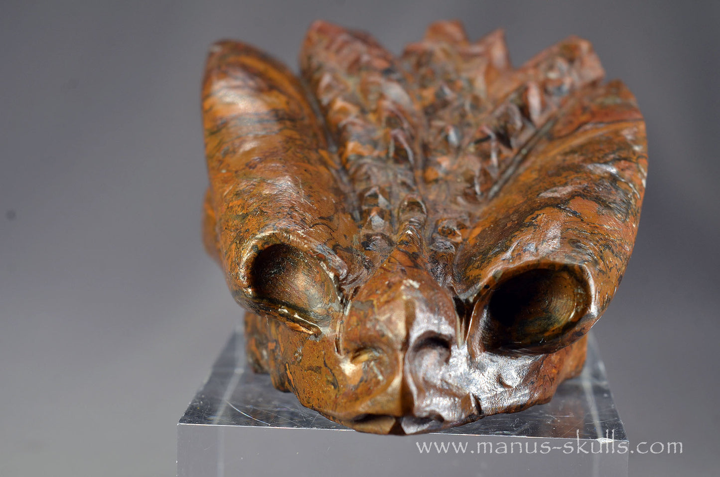 Stromatolite Alien Dragon