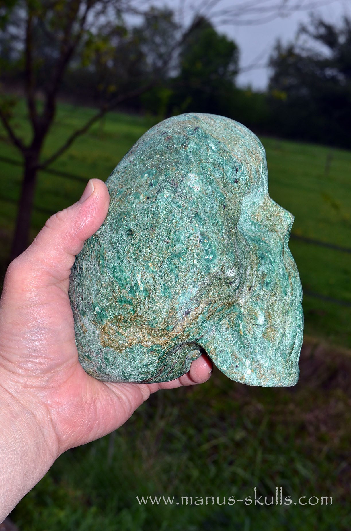 Large Fuchsite Skull