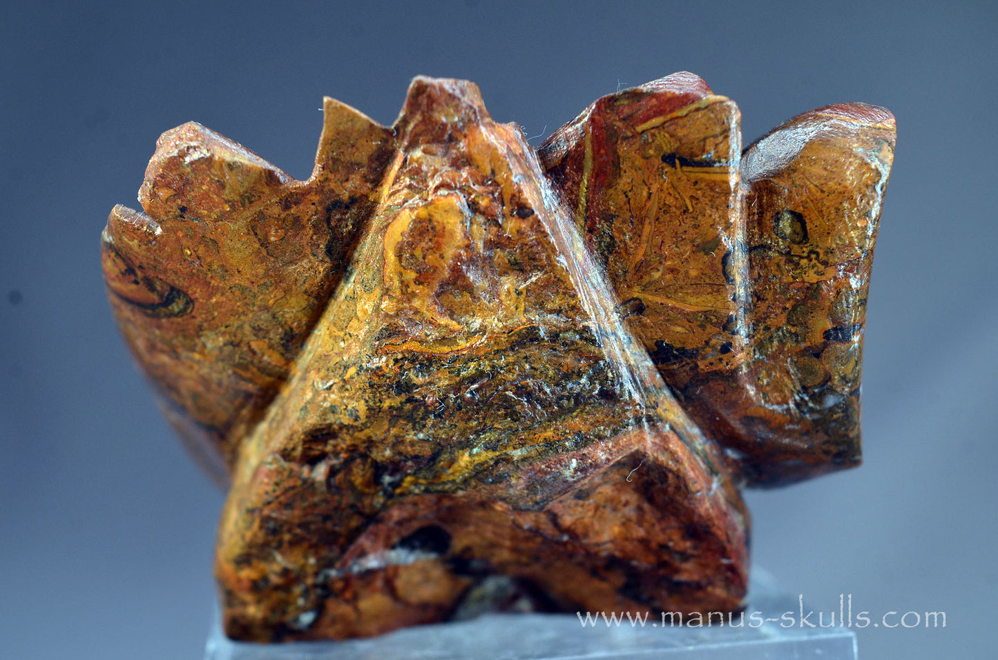 Stromatolite Alien Dragon