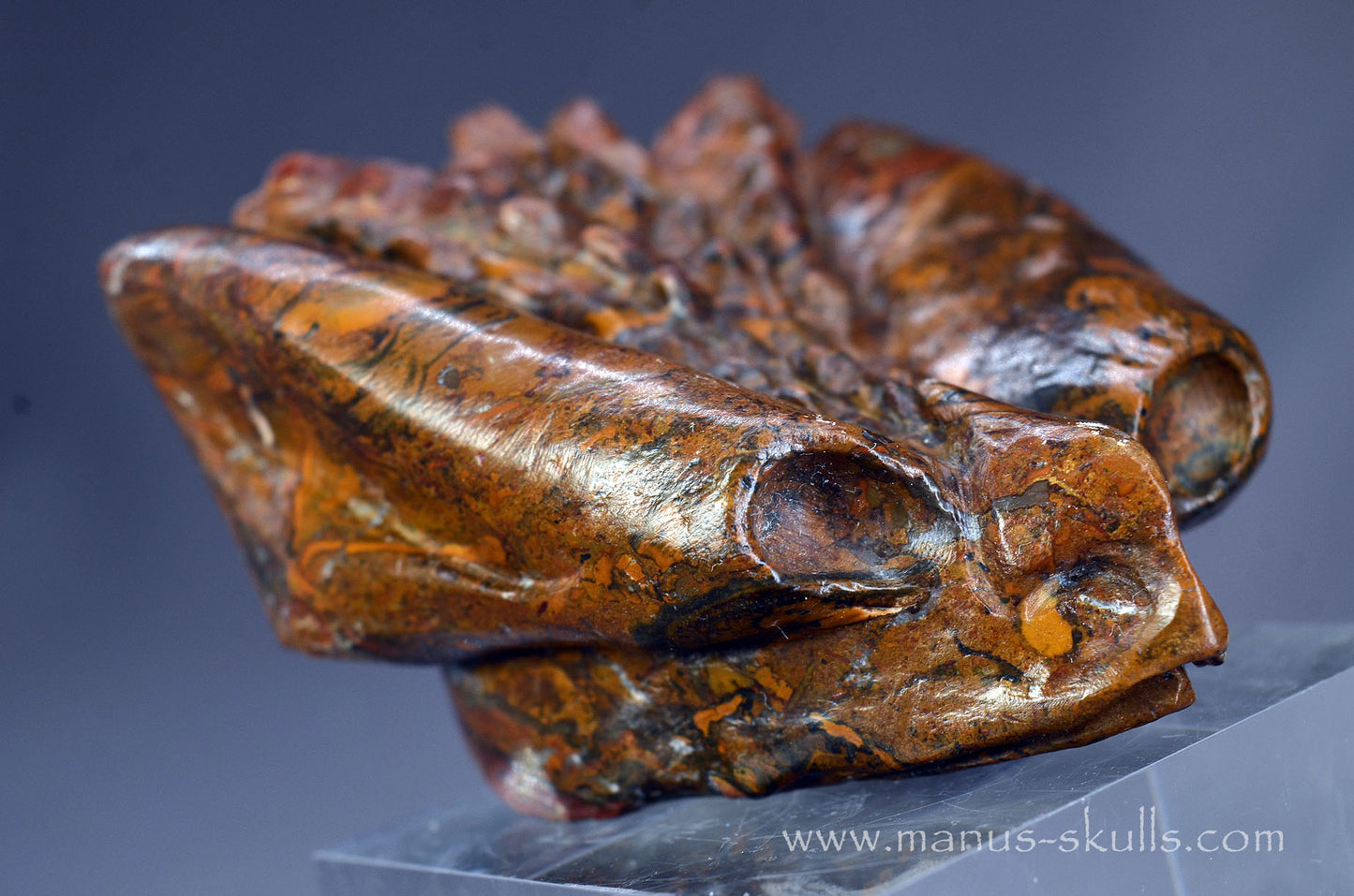 Stromatolite Alien Dragon