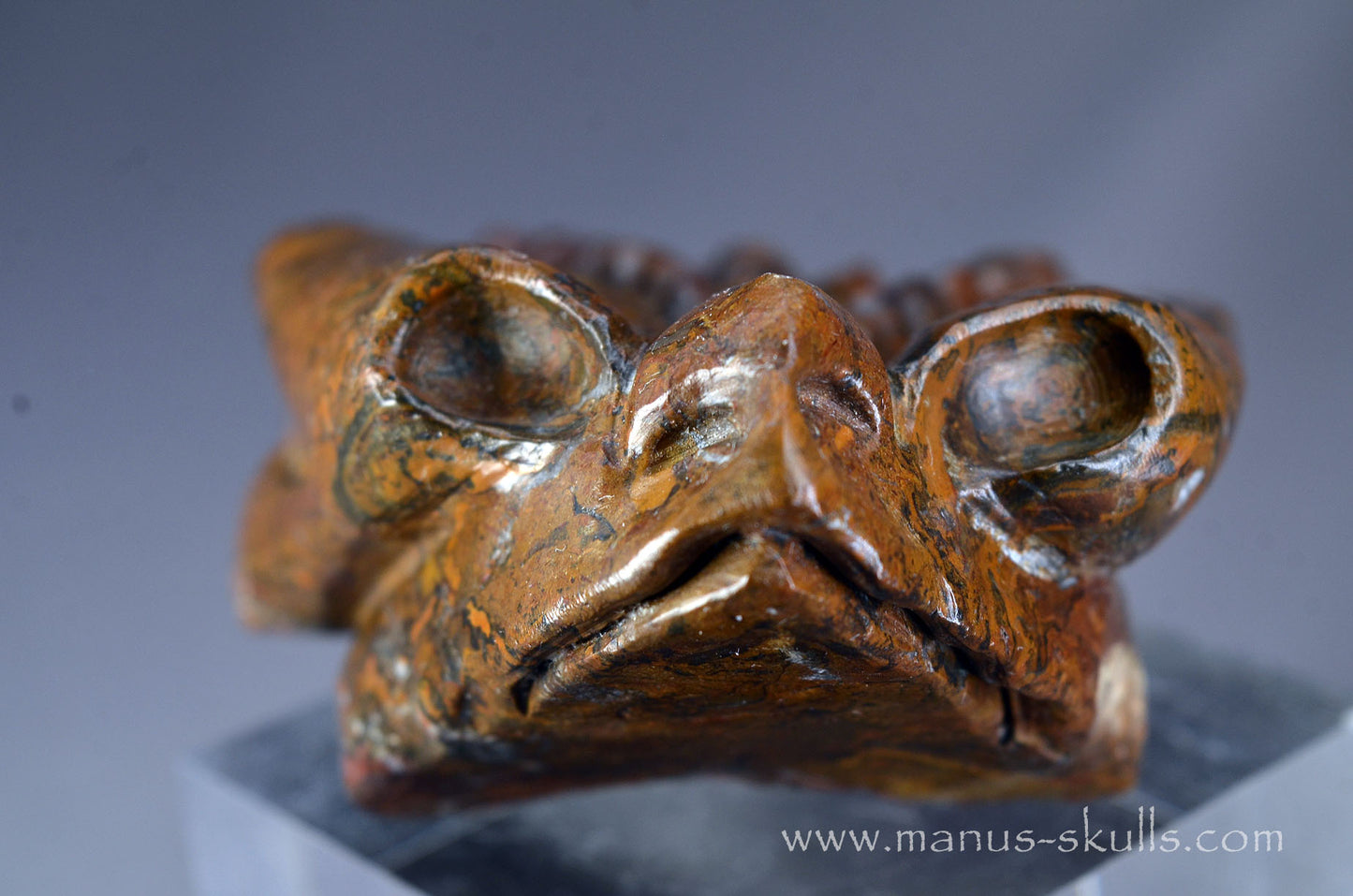 Stromatolite Alien Dragon