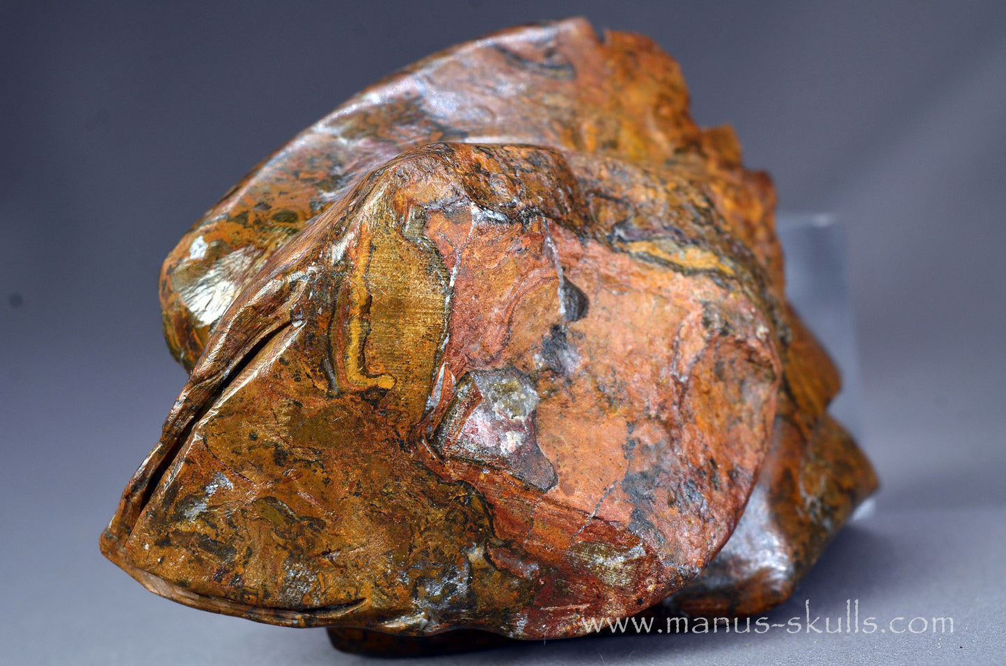Stromatolite Alien Dragon