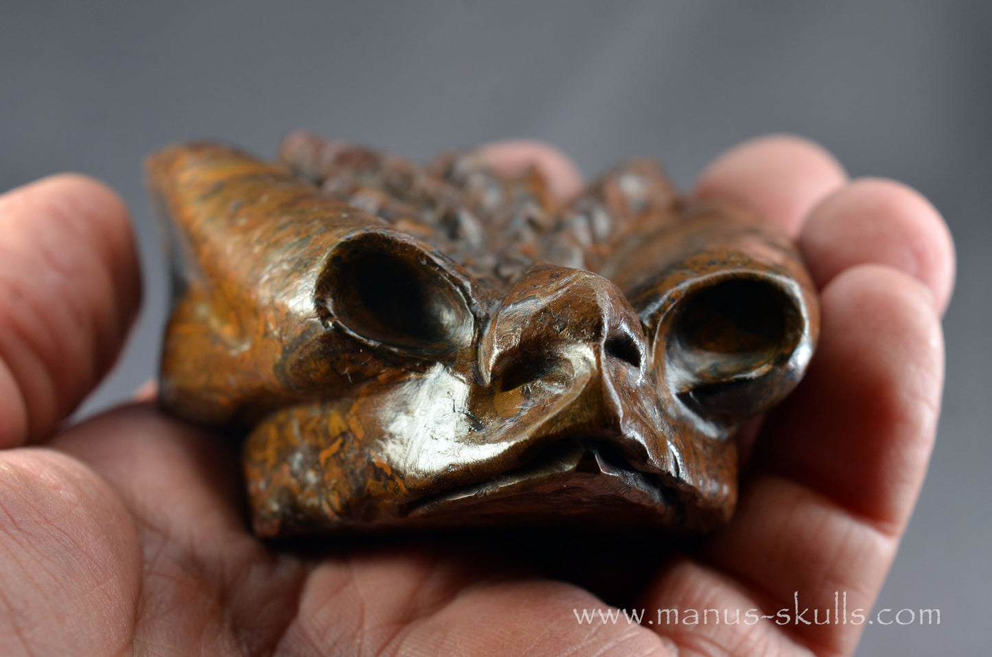Stromatolite Alien Dragon