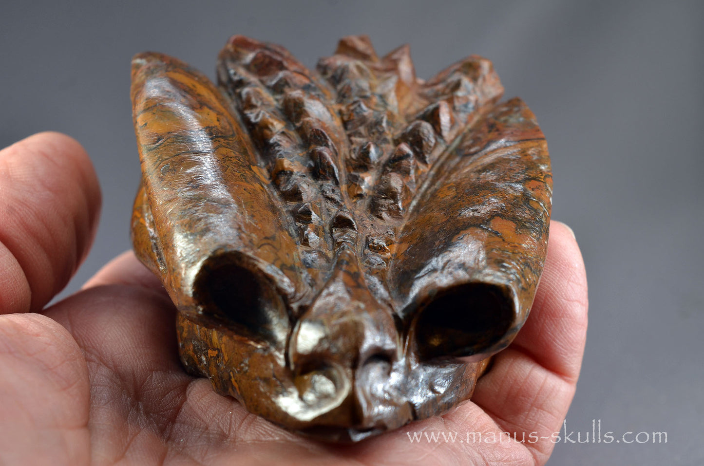 Stromatolite Alien Dragon