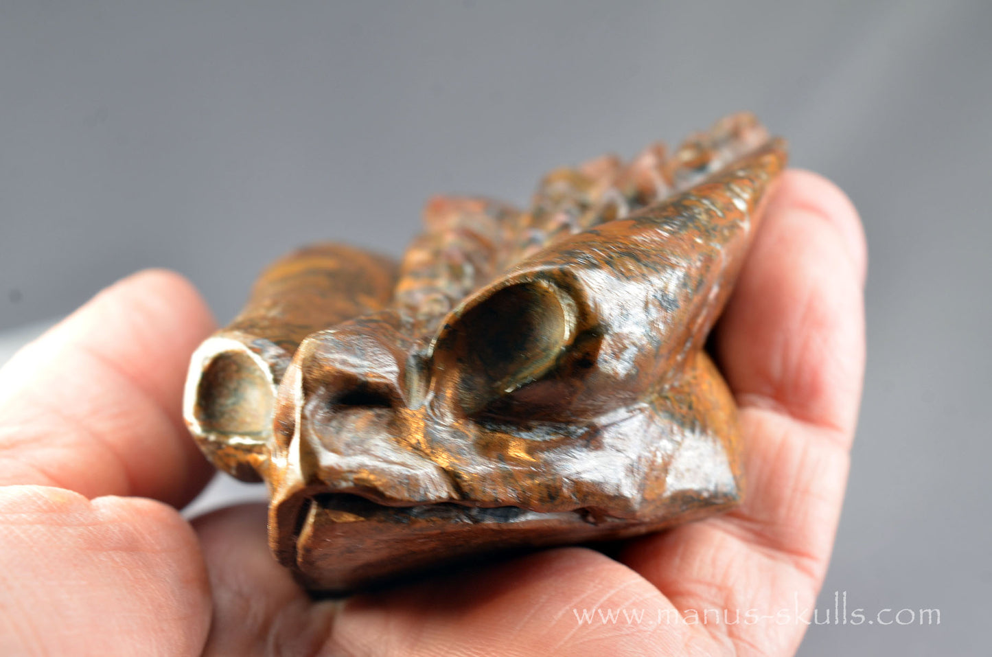 Stromatolite Alien Dragon