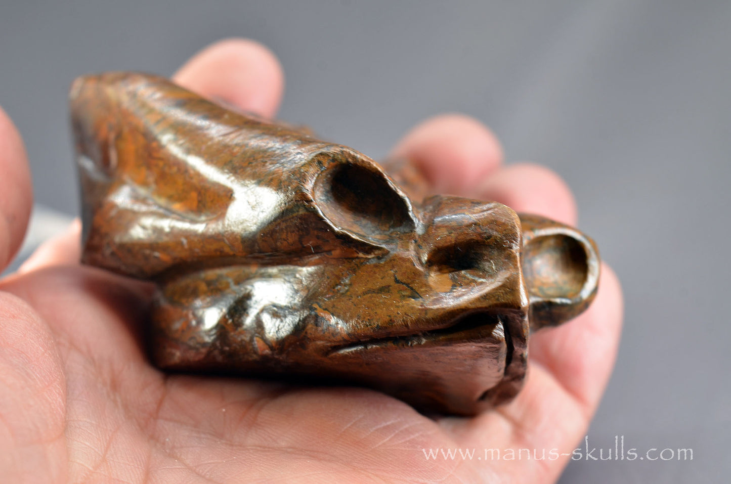 Stromatolite Alien Dragon
