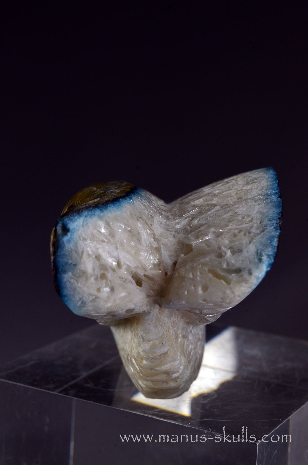 Glacierite Alien Dragon