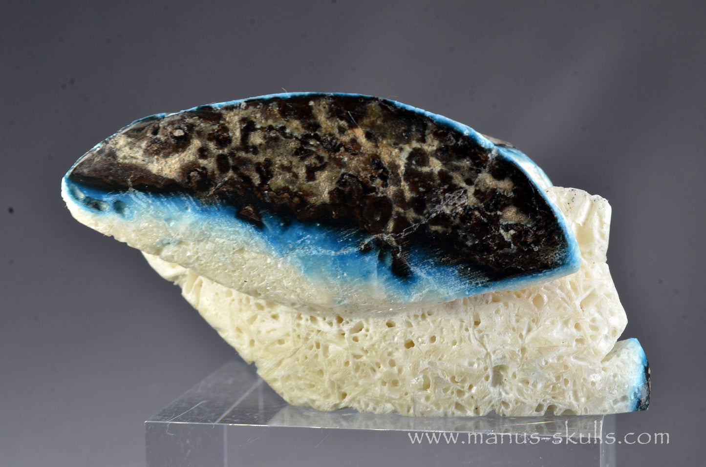 Glacierite Alien Dragon