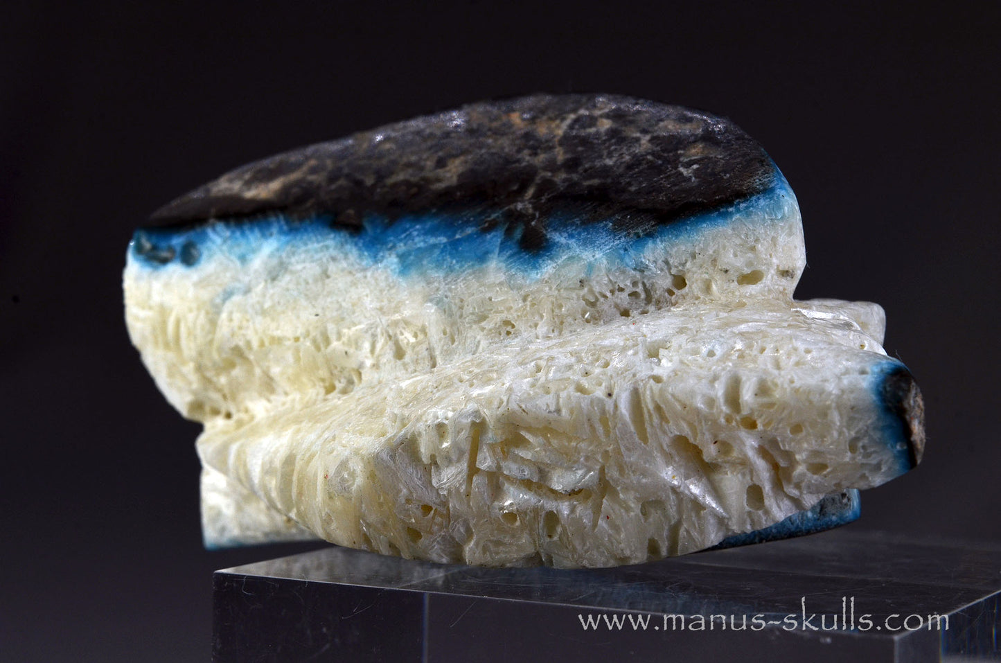 Glacierite Alien Dragon