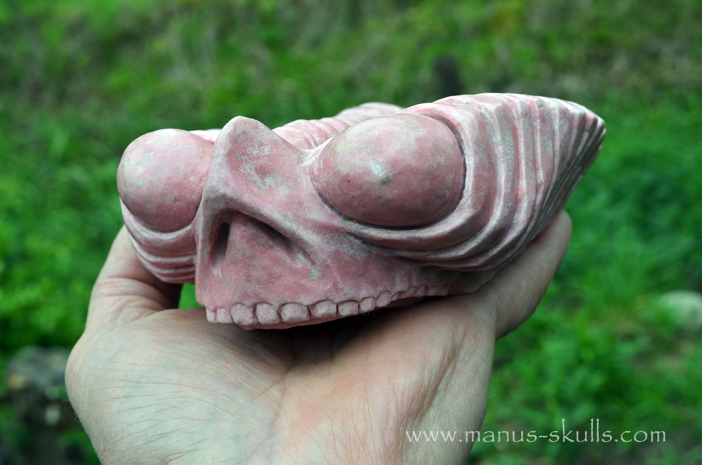 Thulite Alien Dragon