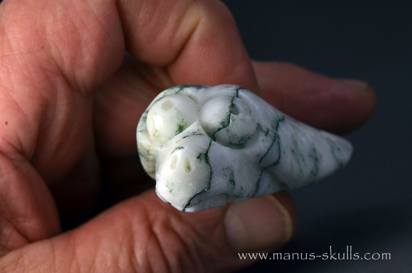 Mariposite Alien Dragon