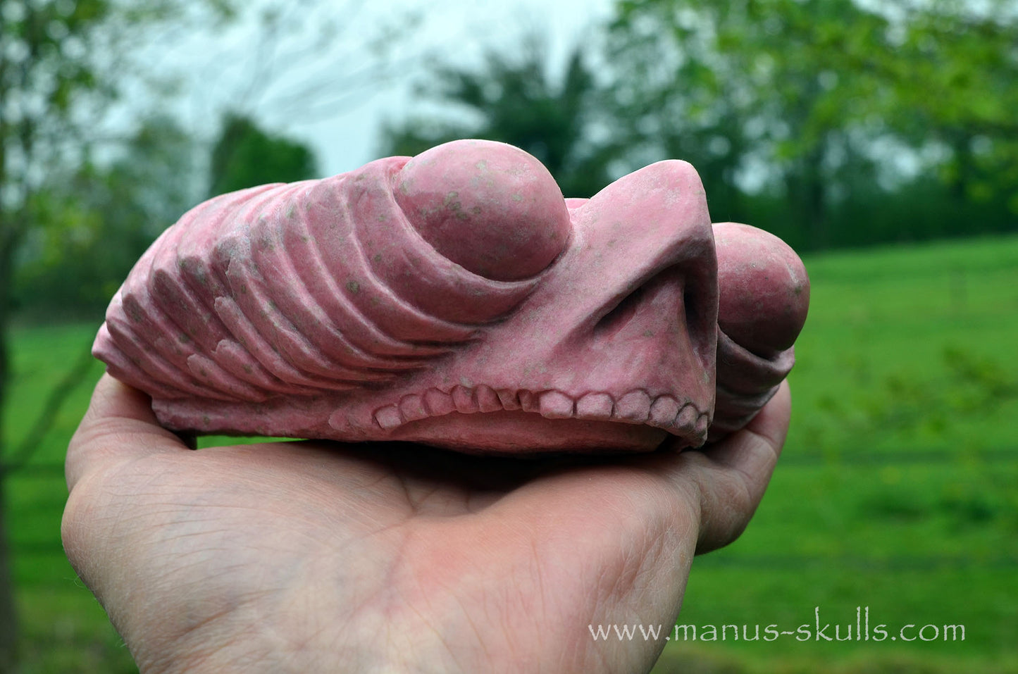Thulite Alien Dragon