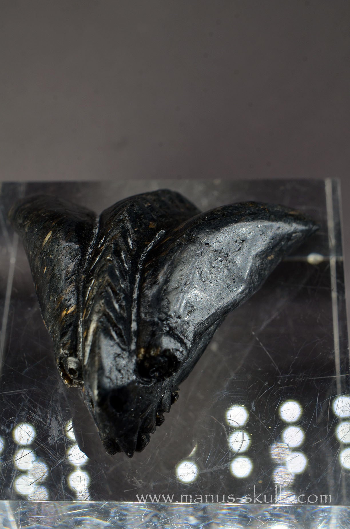 Nuummite Alien Dragon