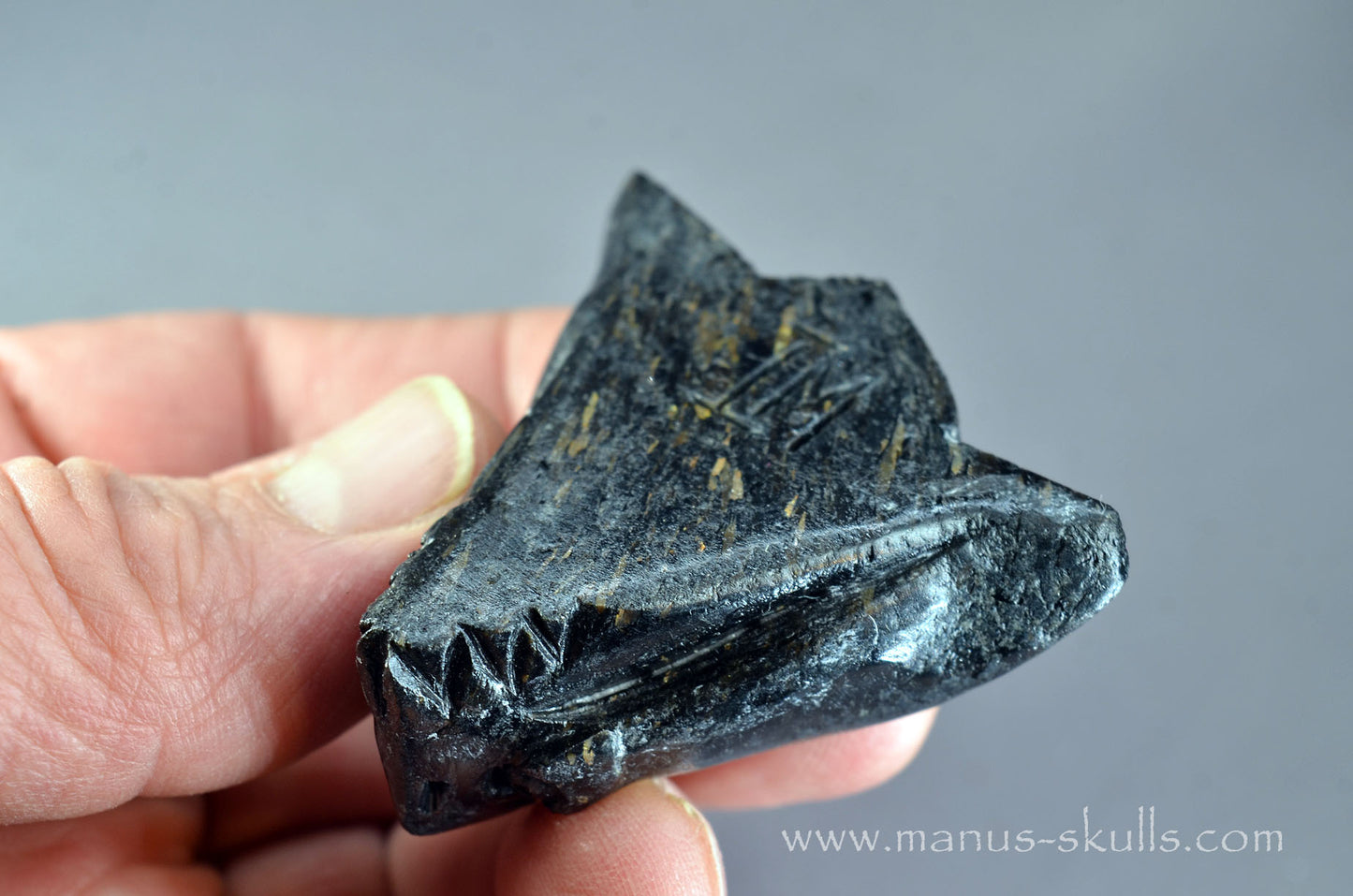Nuummite Alien Dragon