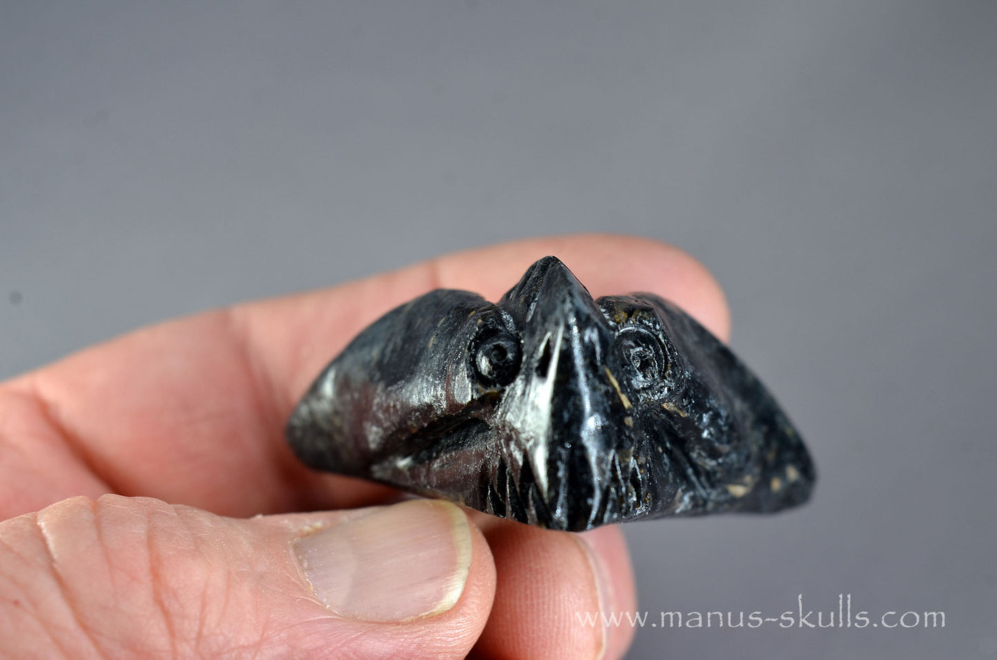 Nuummite Alien Dragon