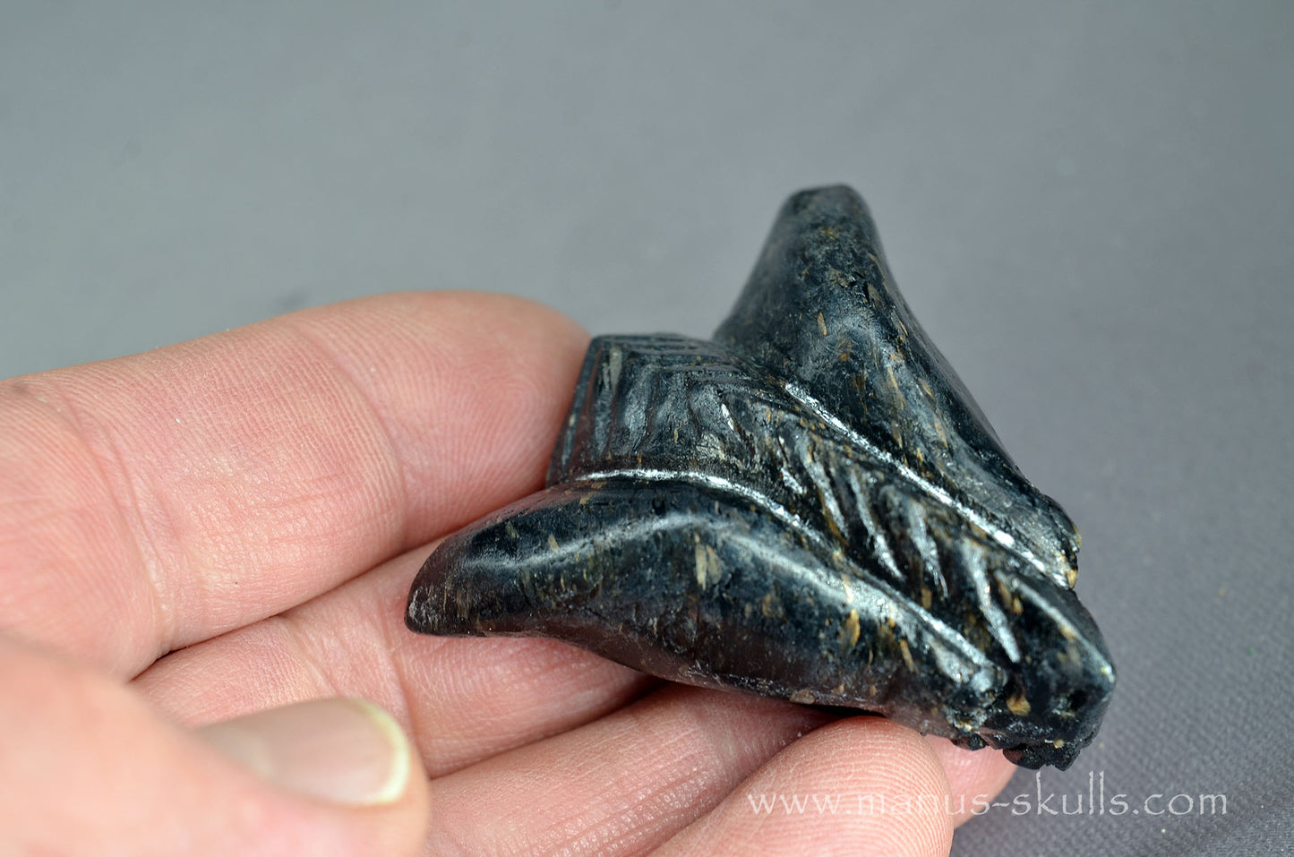 Nuummite Alien Dragon