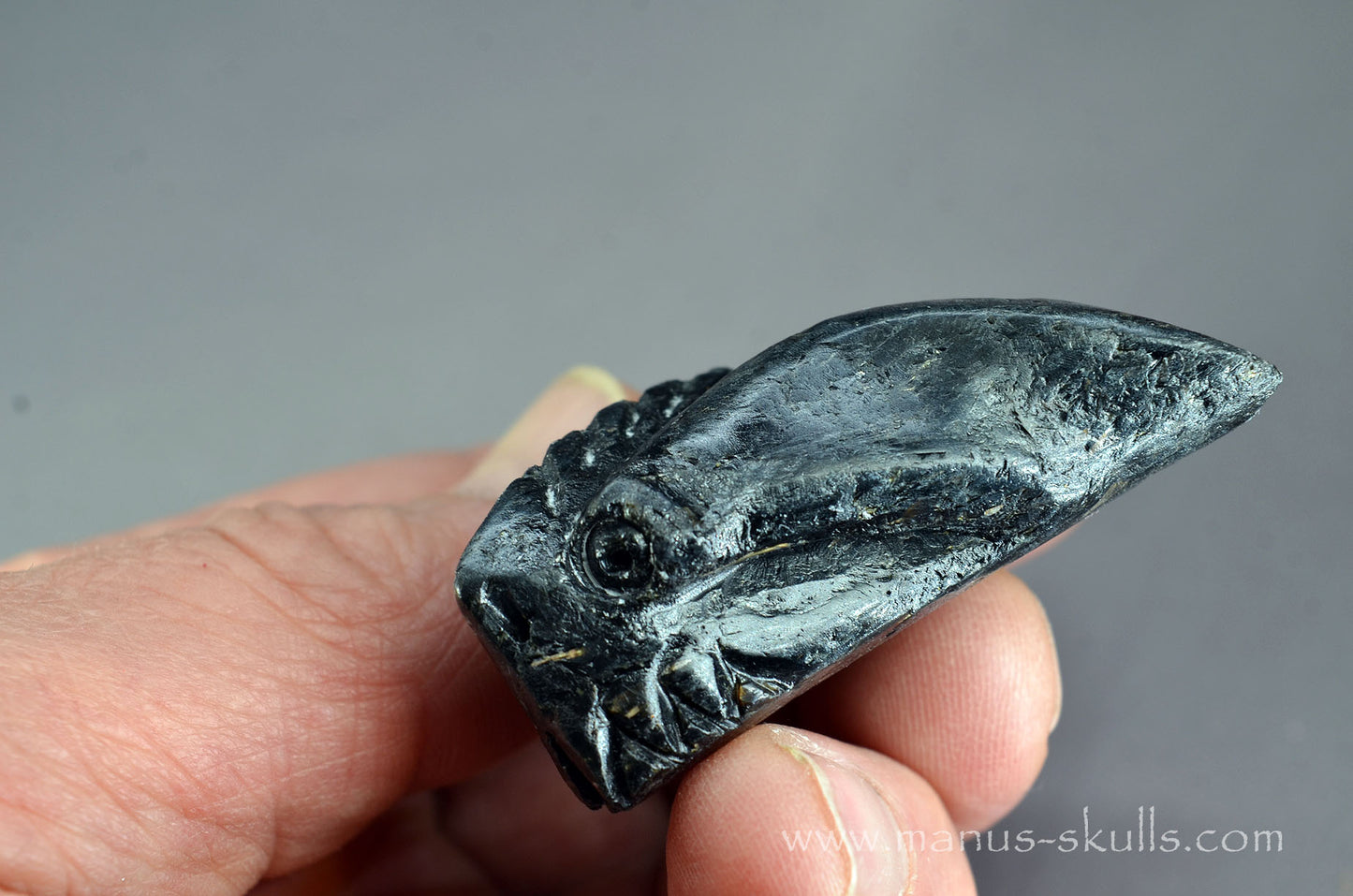 Nuummite Alien Dragon