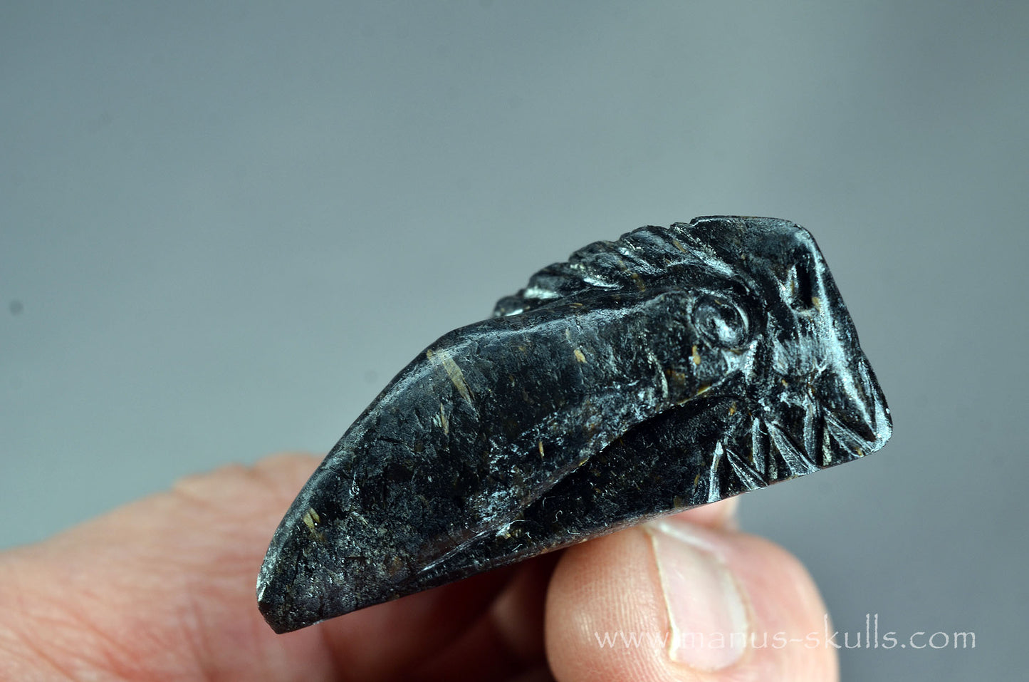 Nuummite Alien Dragon