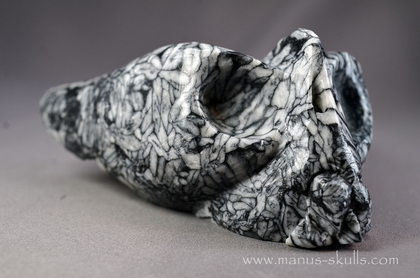 Pinolith Alien Dragon