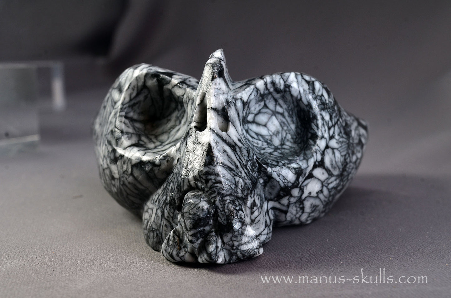 Pinolith Alien Dragon