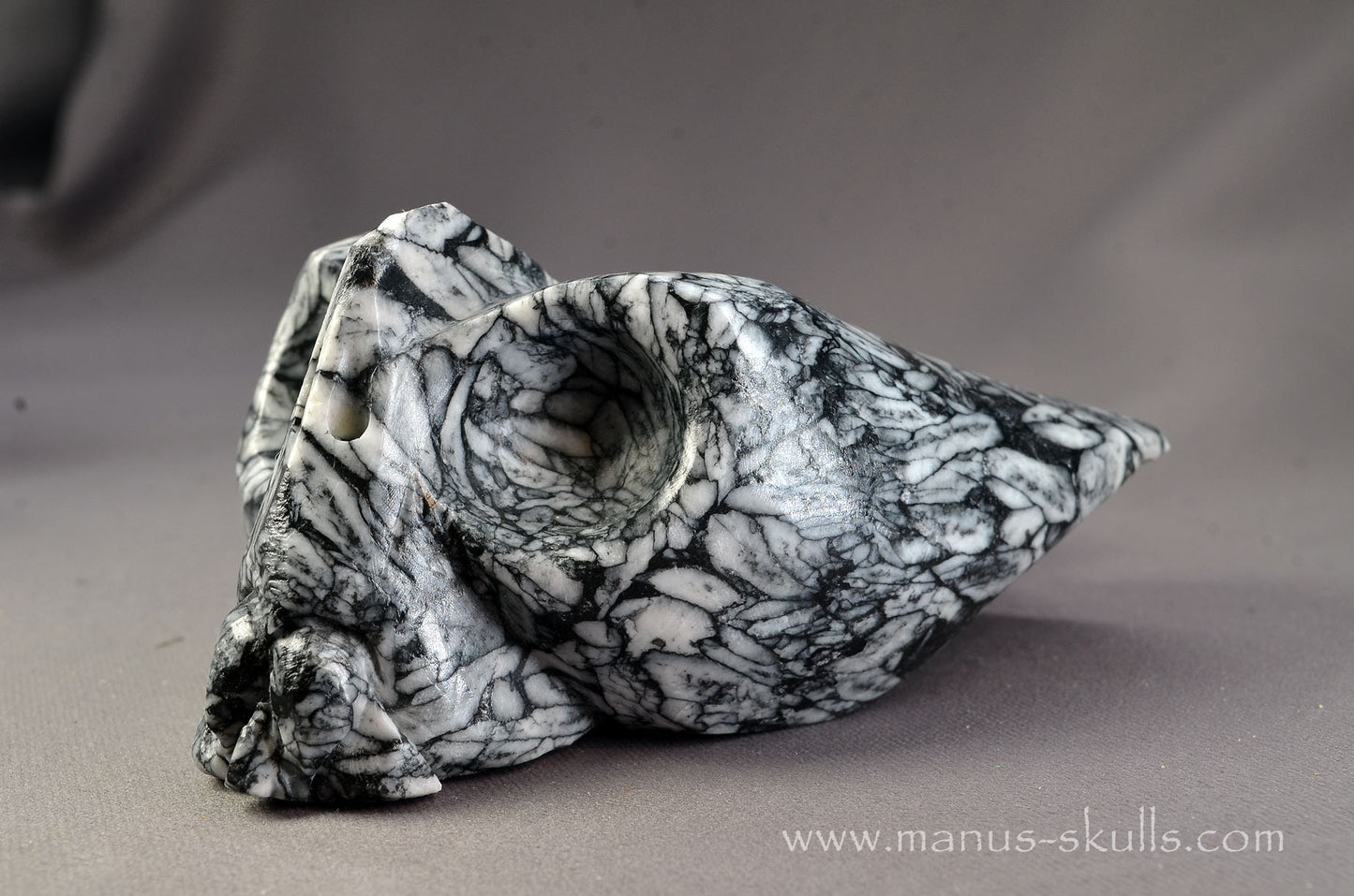 Pinolith Alien Dragon