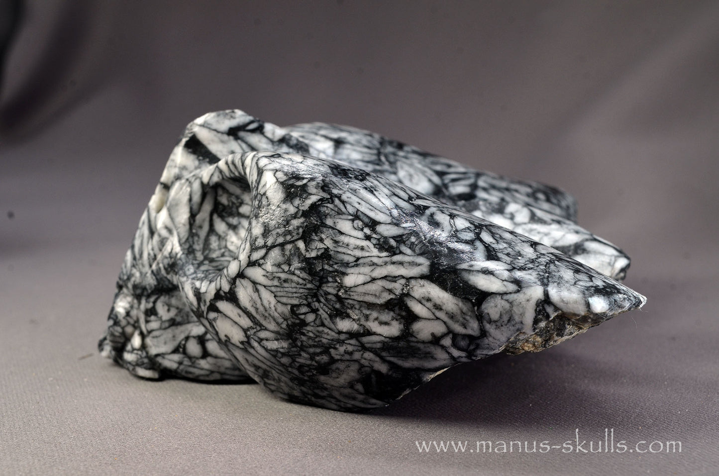 Pinolith Alien Dragon