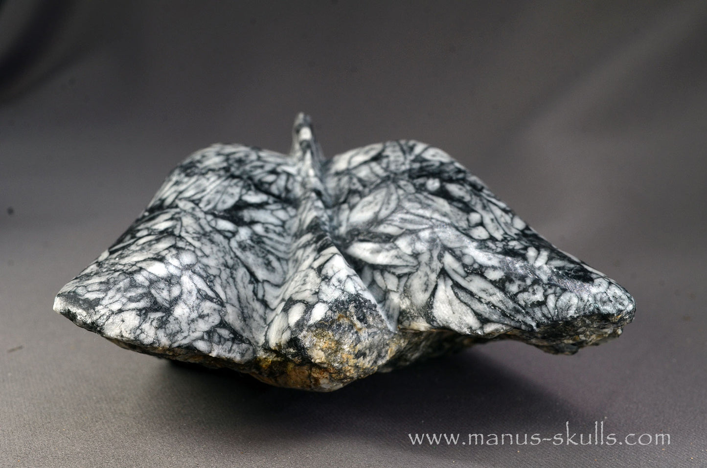 Pinolith Alien Dragon