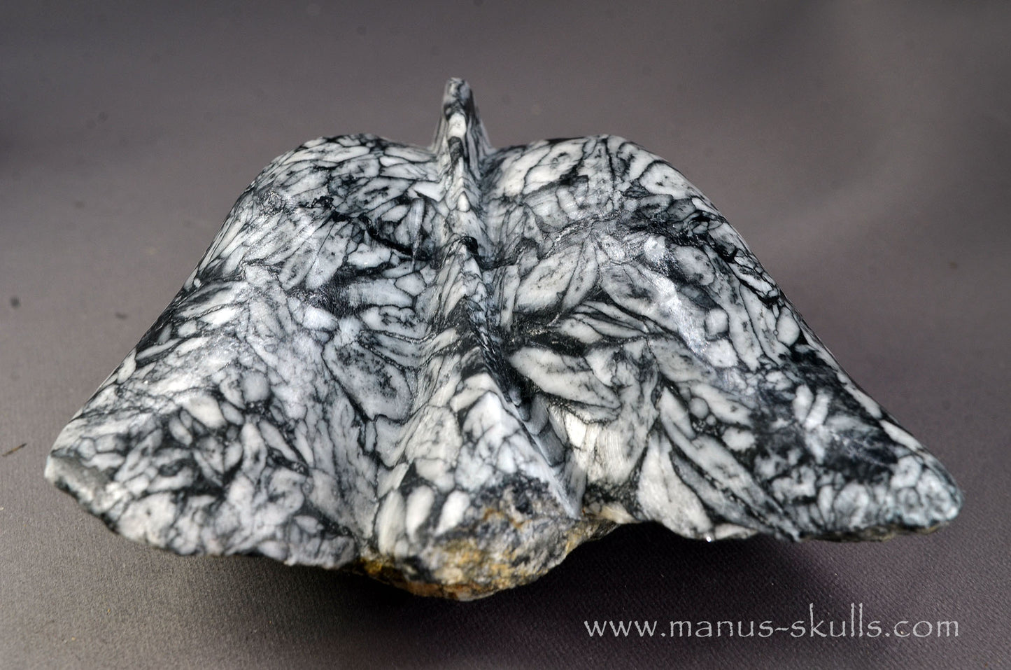 Pinolith Alien Dragon
