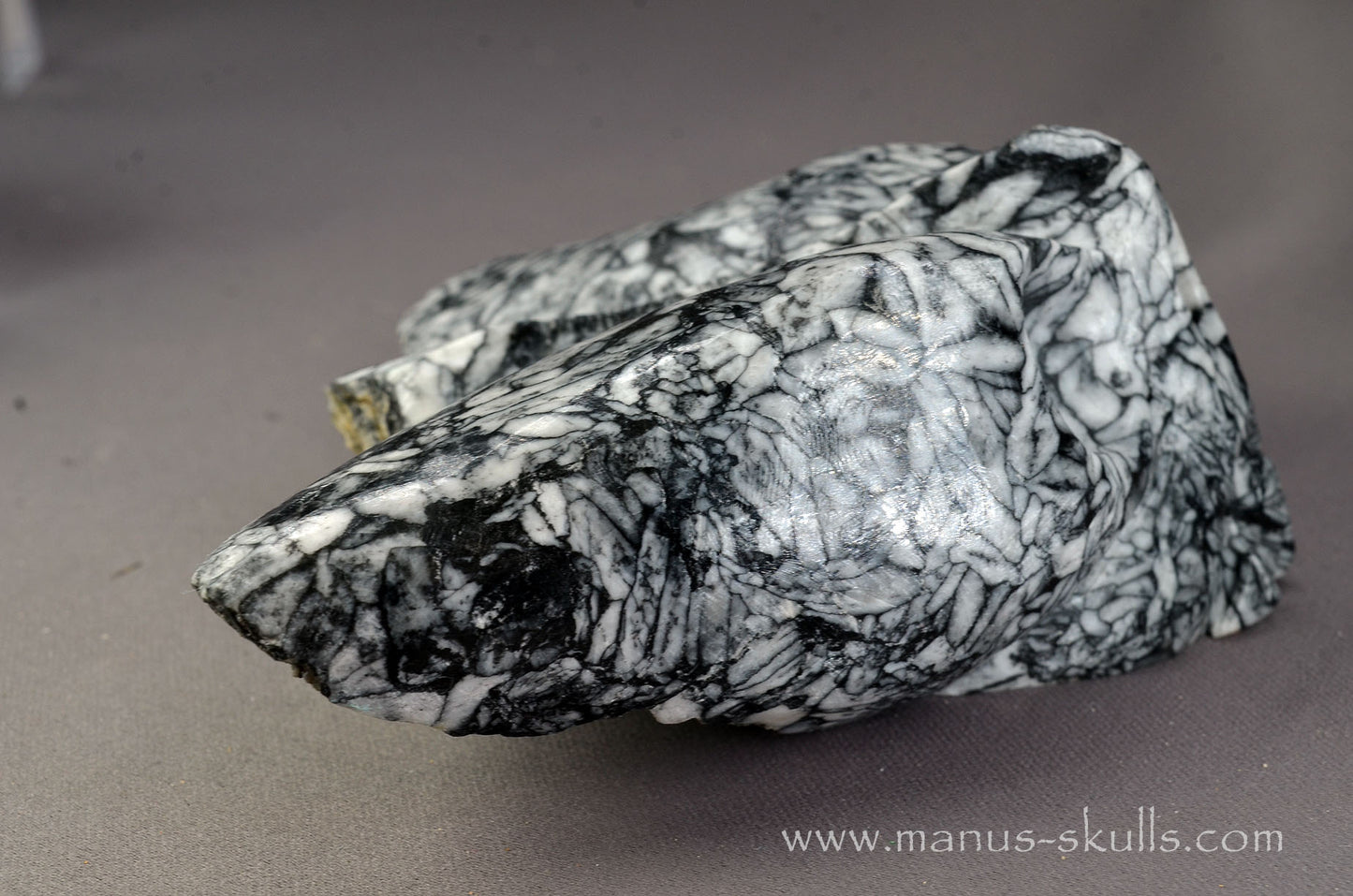Pinolith Alien Dragon