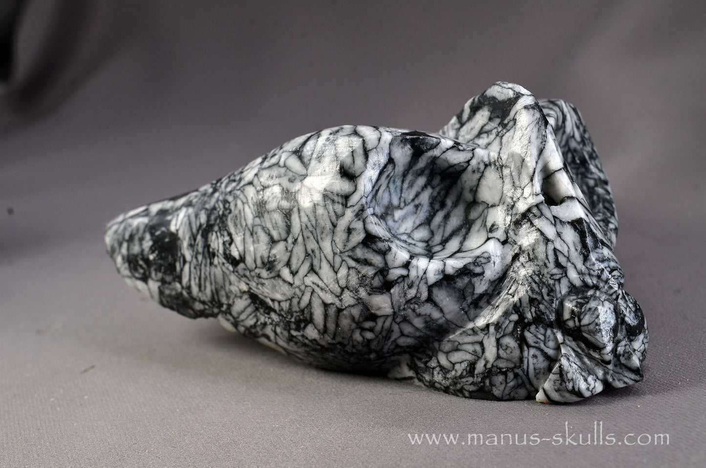 Pinolith Alien Dragon