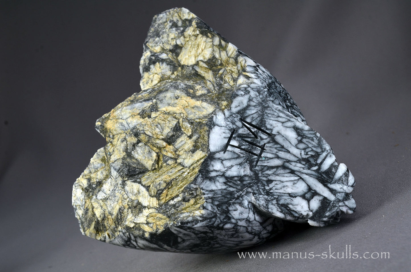 Pinolith Alien Dragon