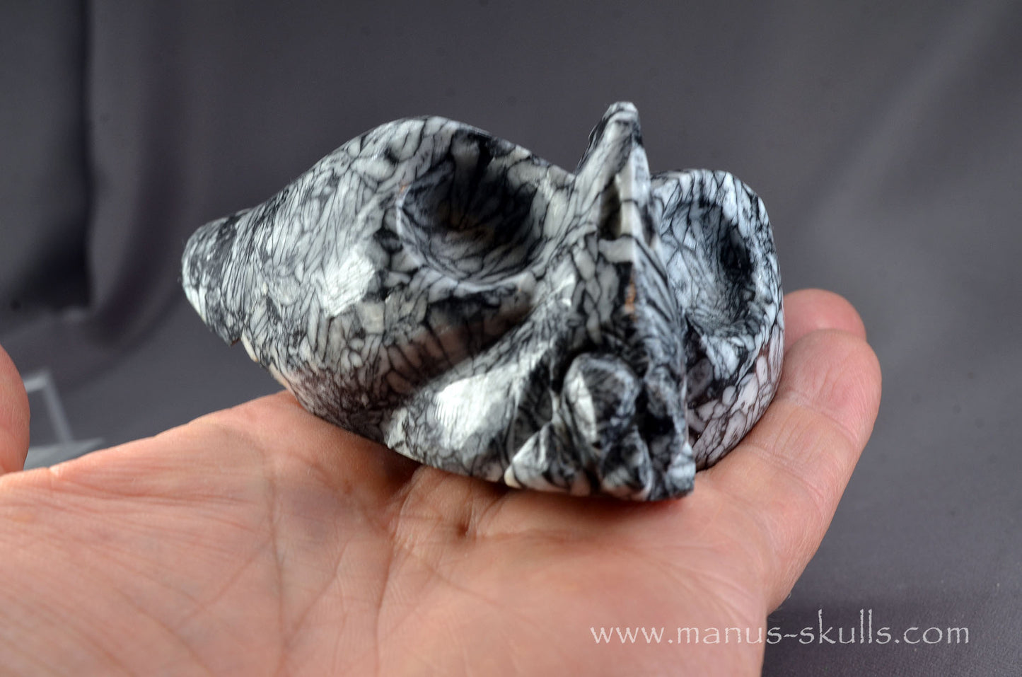 Pinolith Alien Dragon