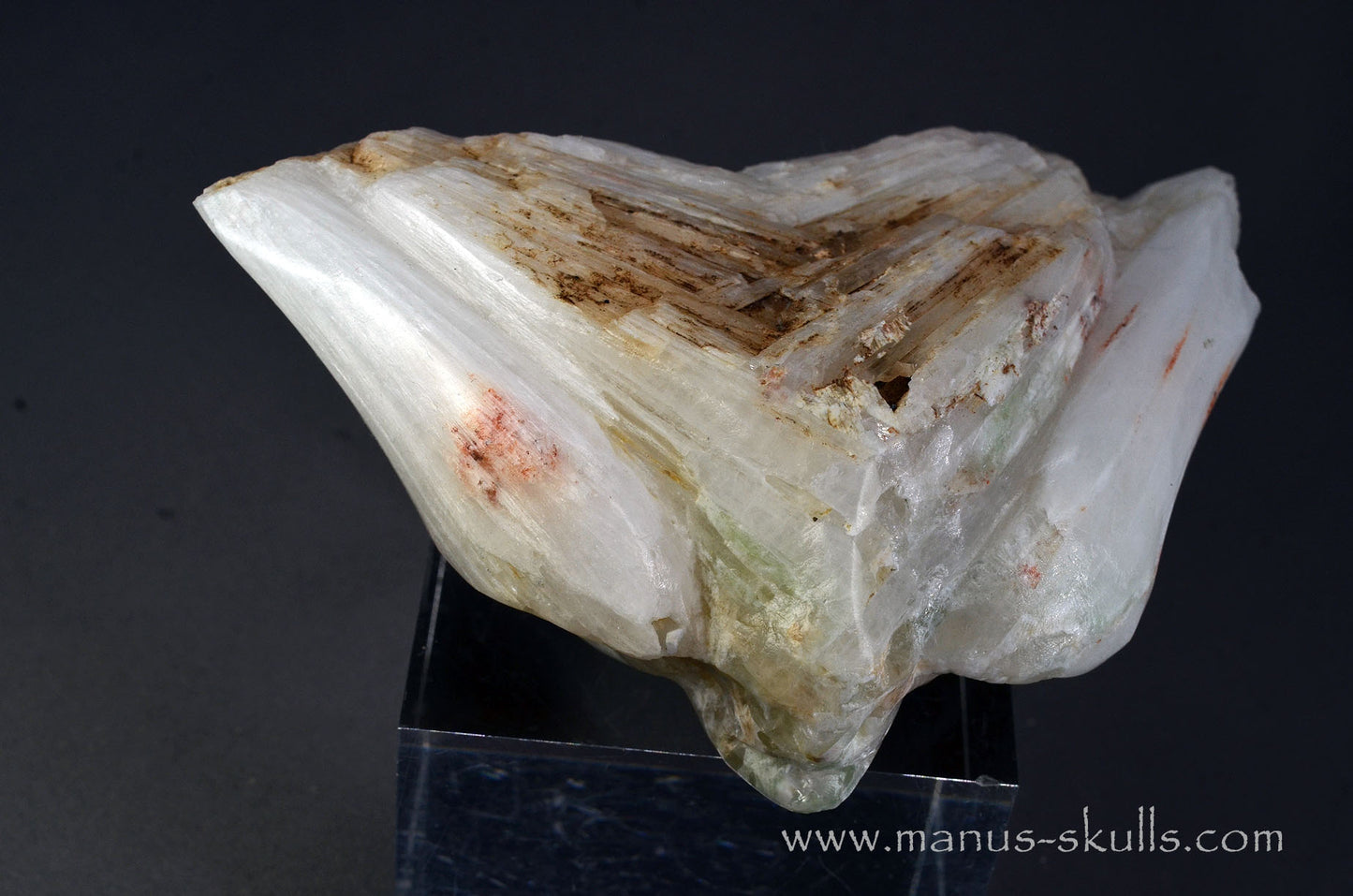 Scolecite Alien Dragon