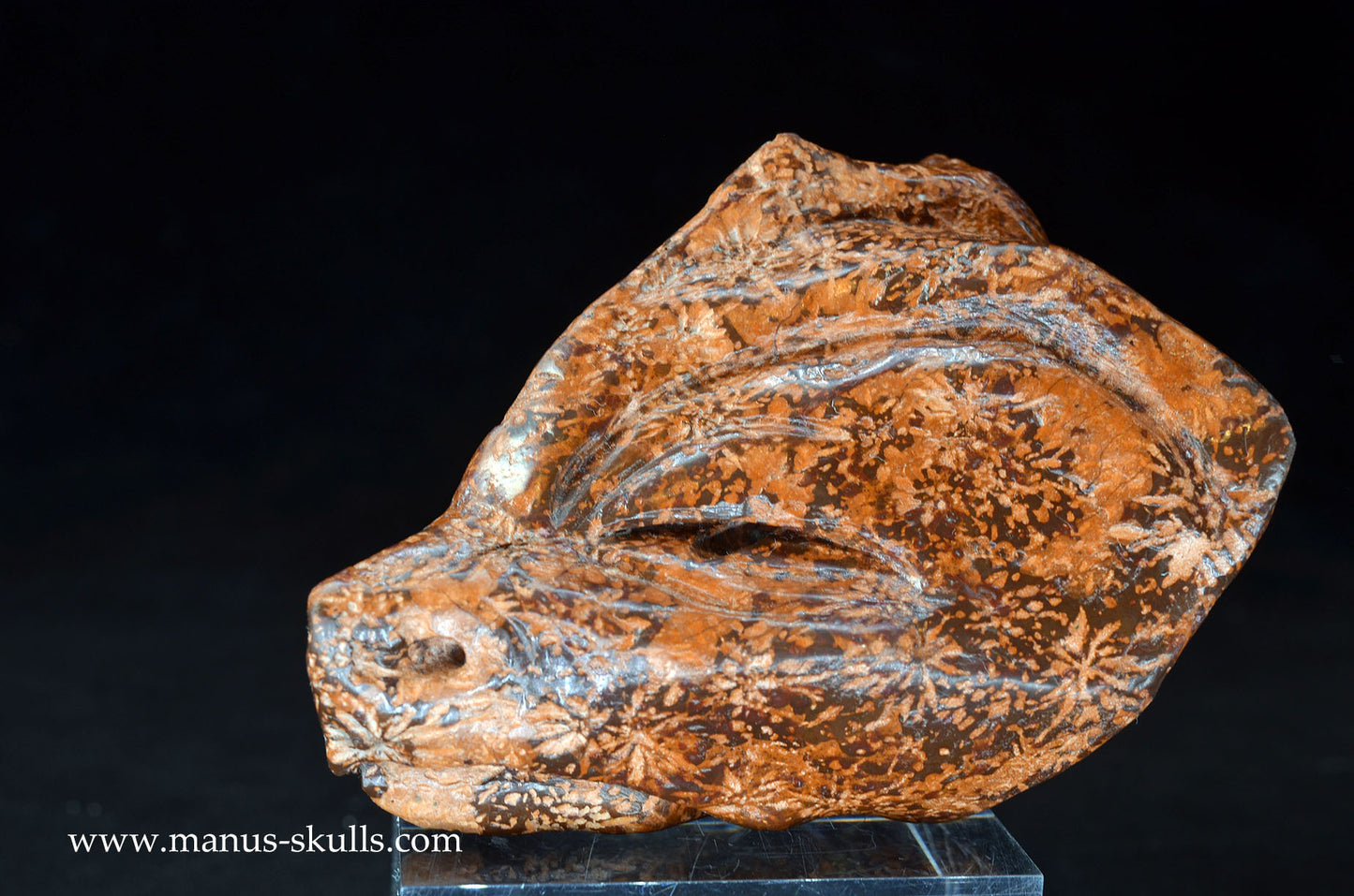Star Rhyolite Jasper Dragon
