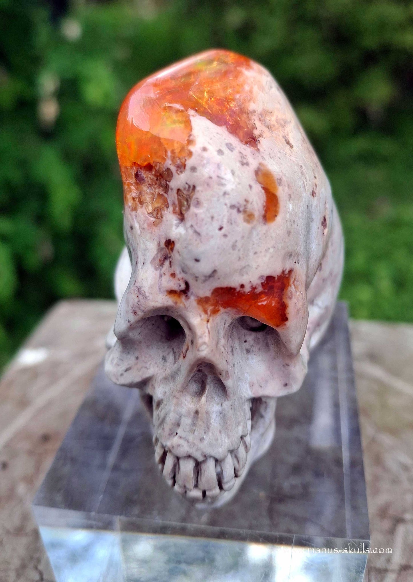 Mexican Fire Opal Skull