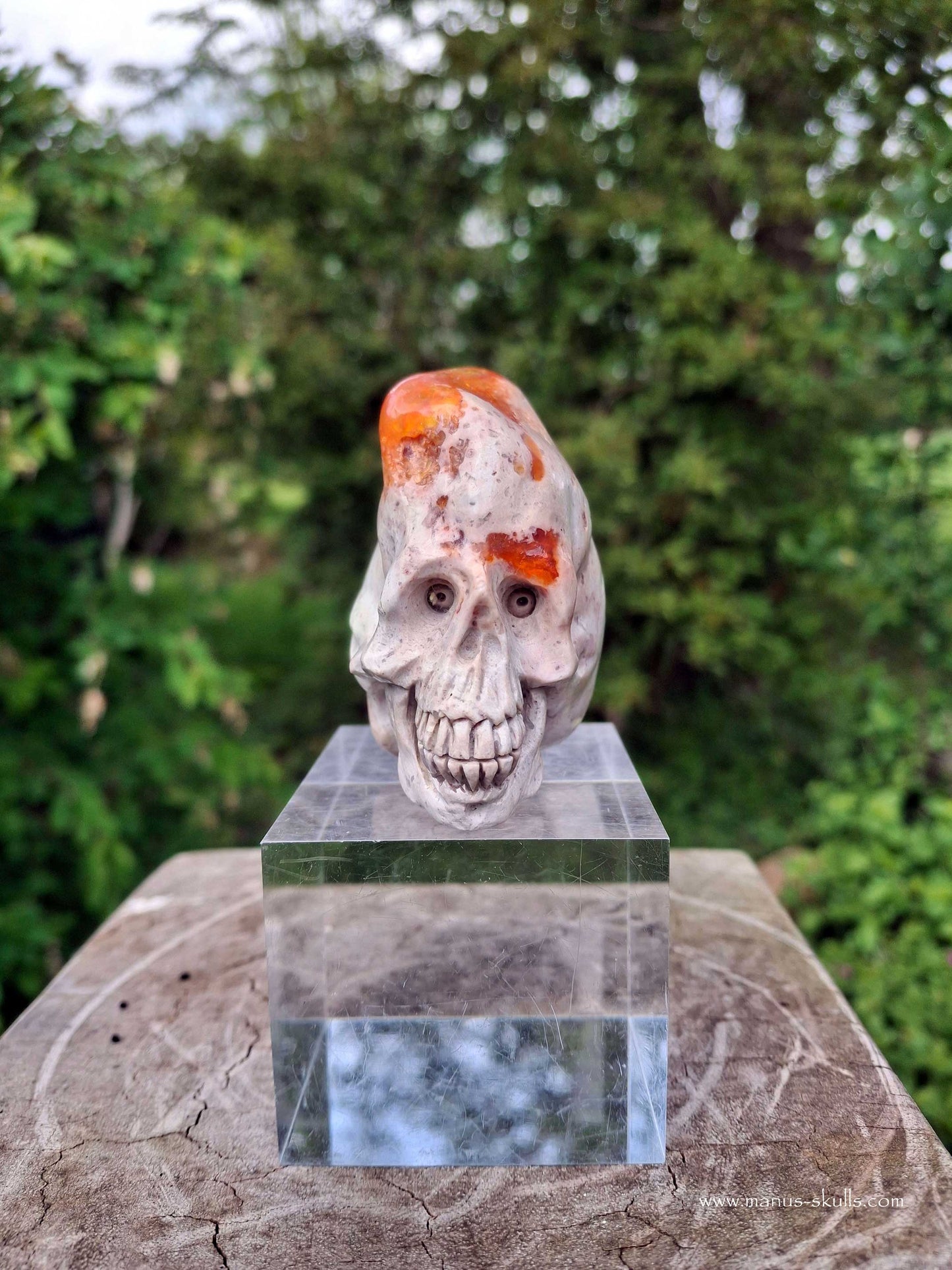 Mexican Fire Opal Skull