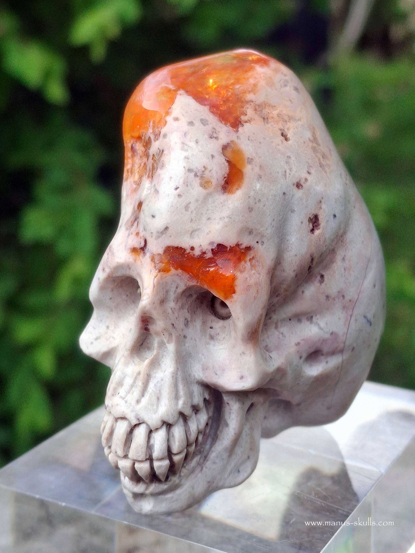 Mexican Fire Opal Skull