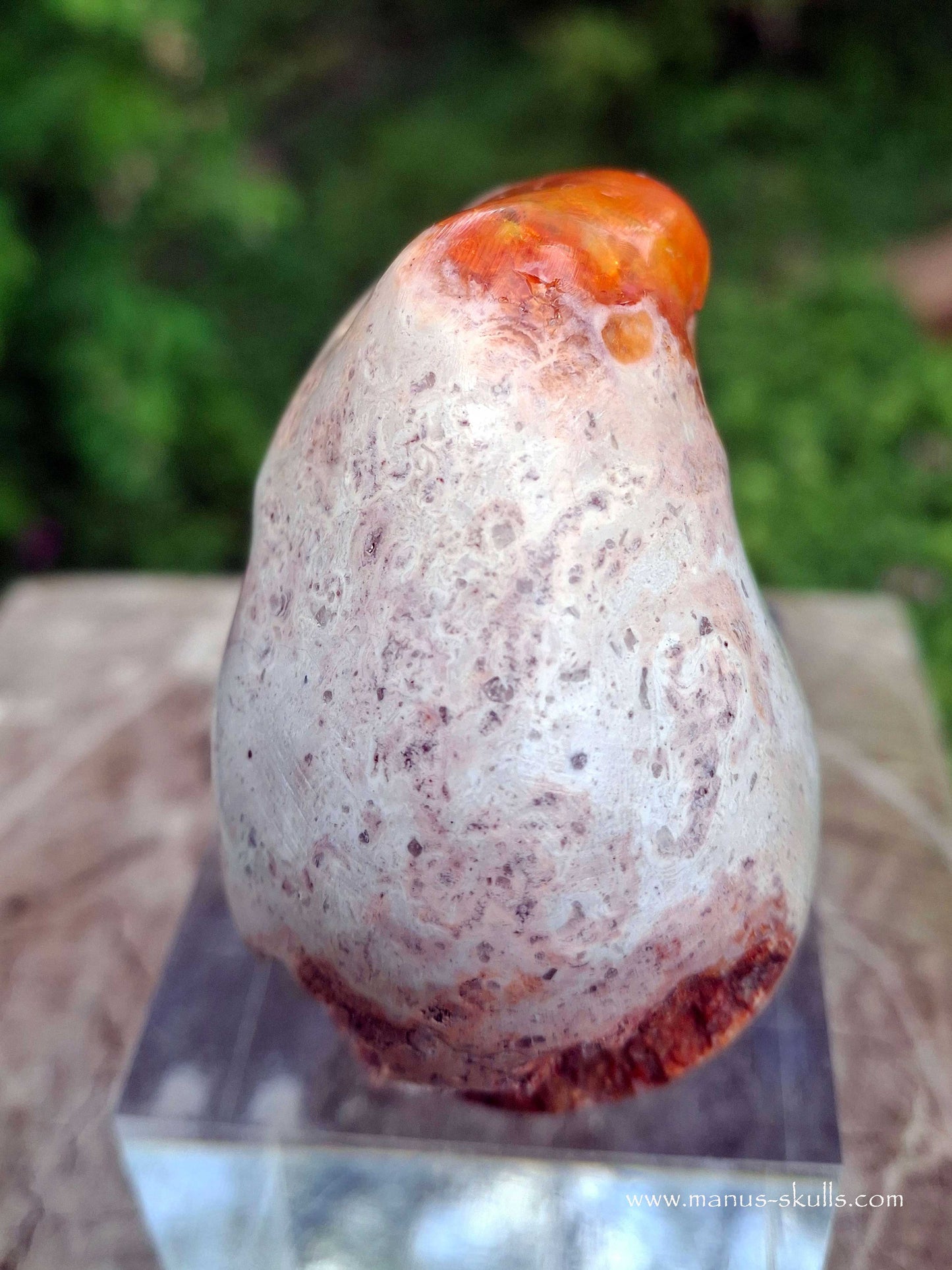 Mexican Fire Opal Skull