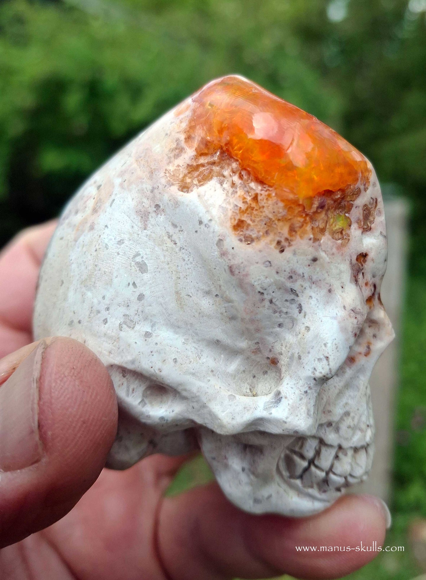 Mexican Fire Opal Skull
