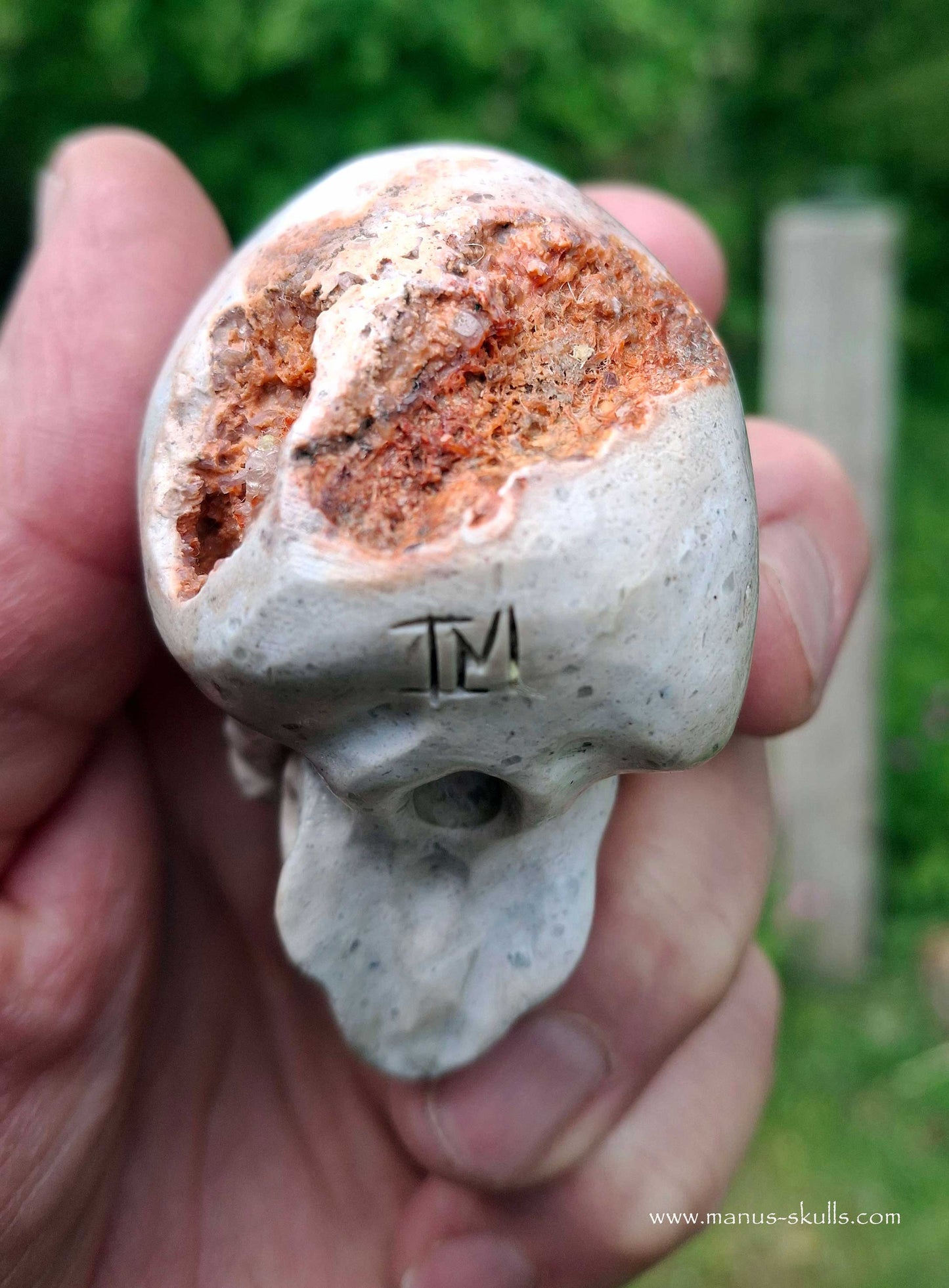 Mexican Fire Opal Skull
