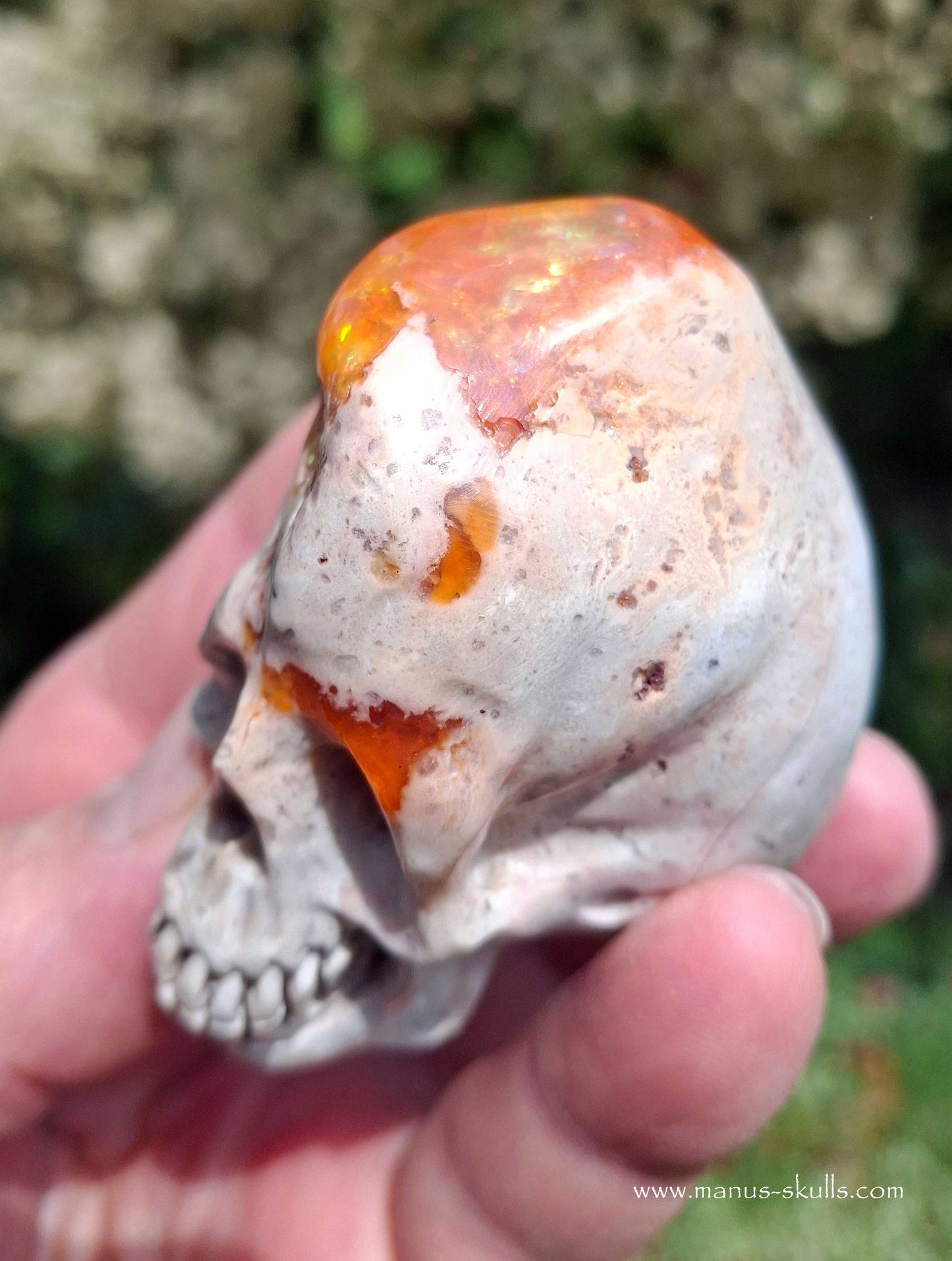 Mexican Fire Opal Skull