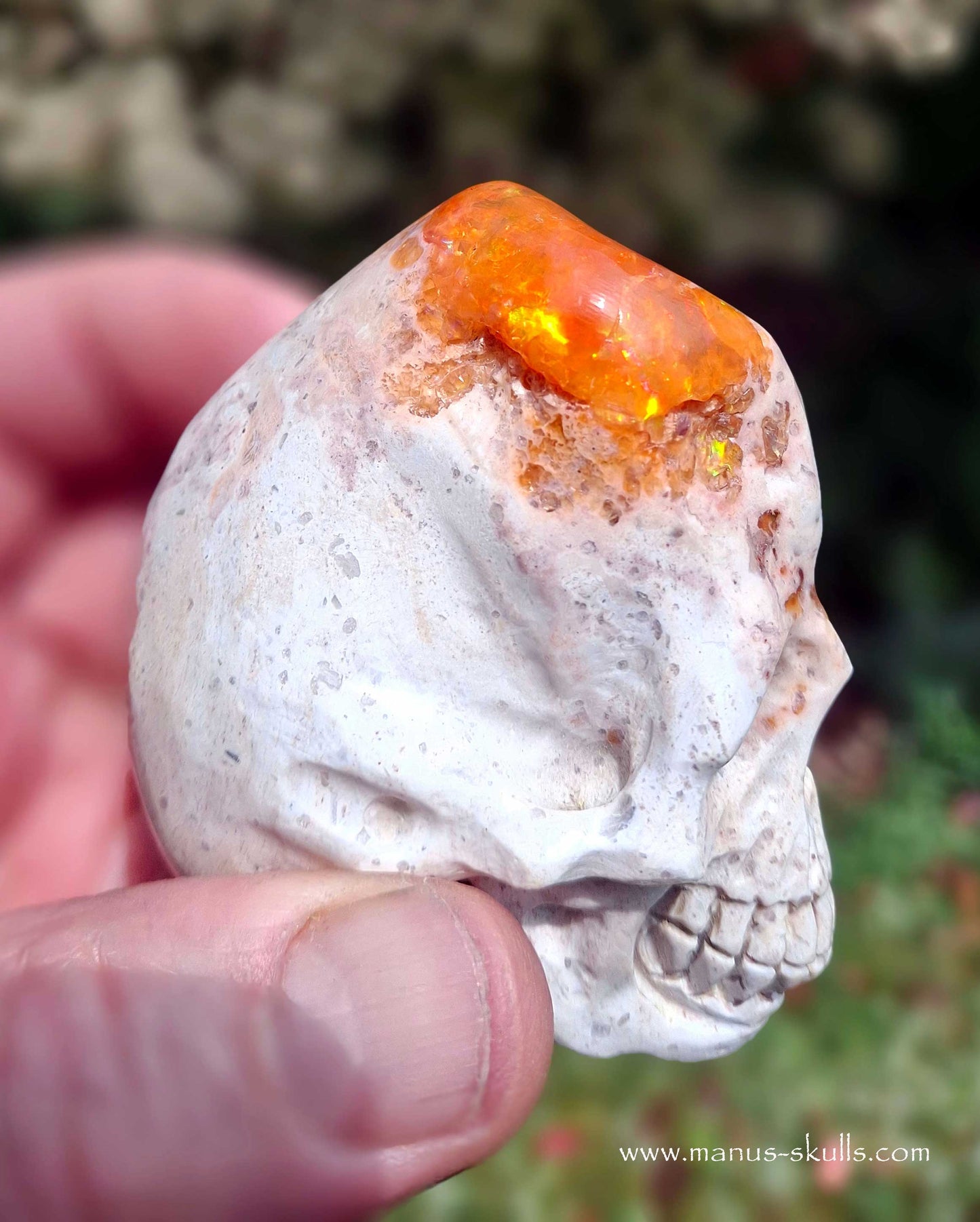Mexican Fire Opal Skull