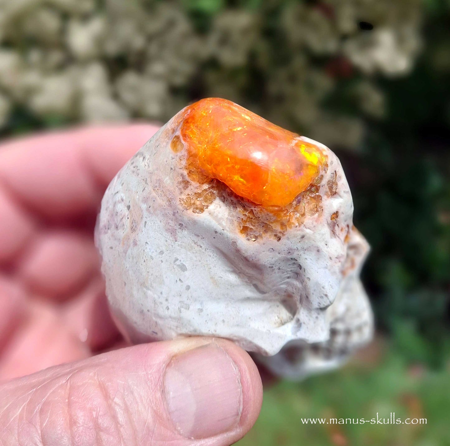 Mexican Fire Opal Skull