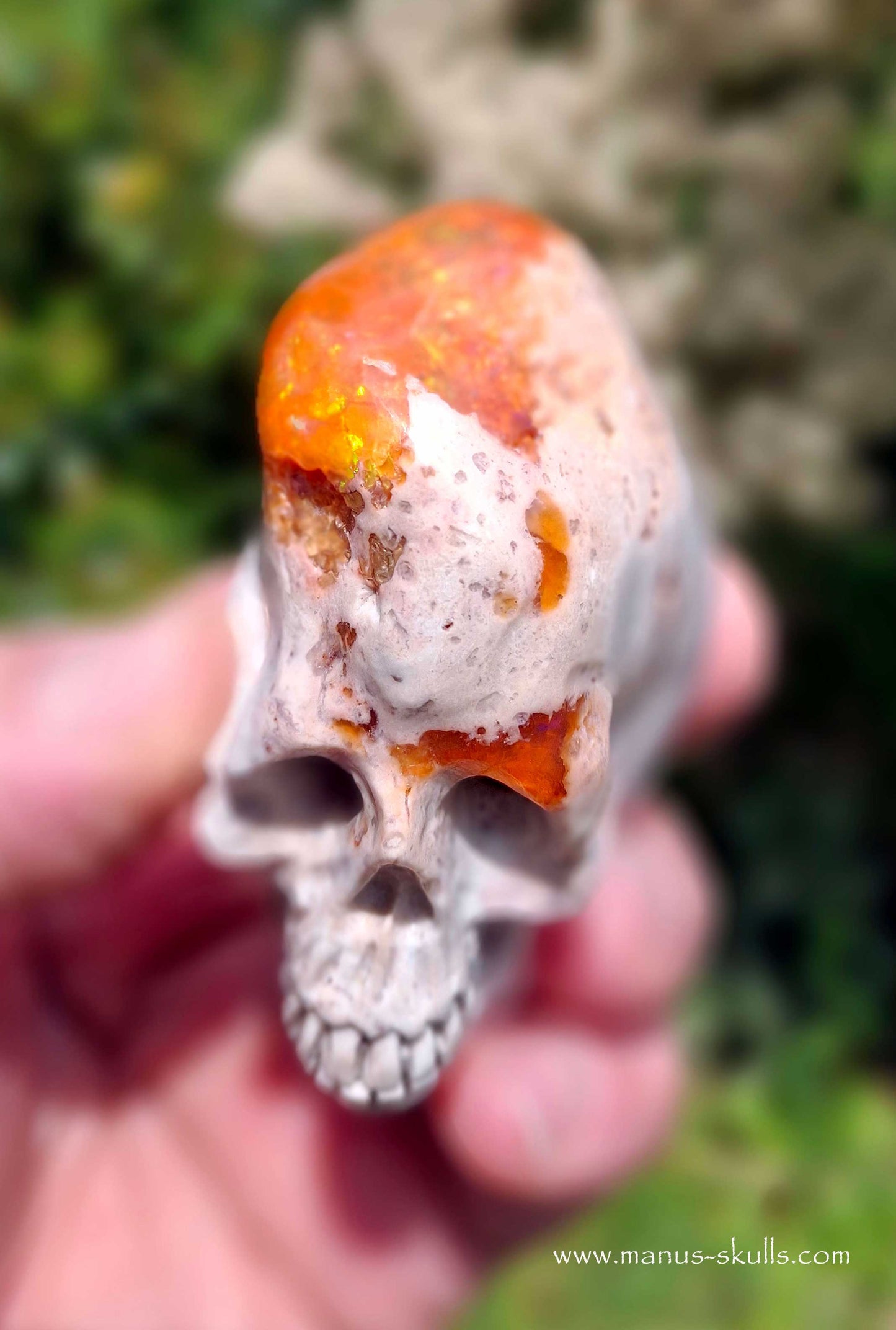 Mexican Fire Opal Skull