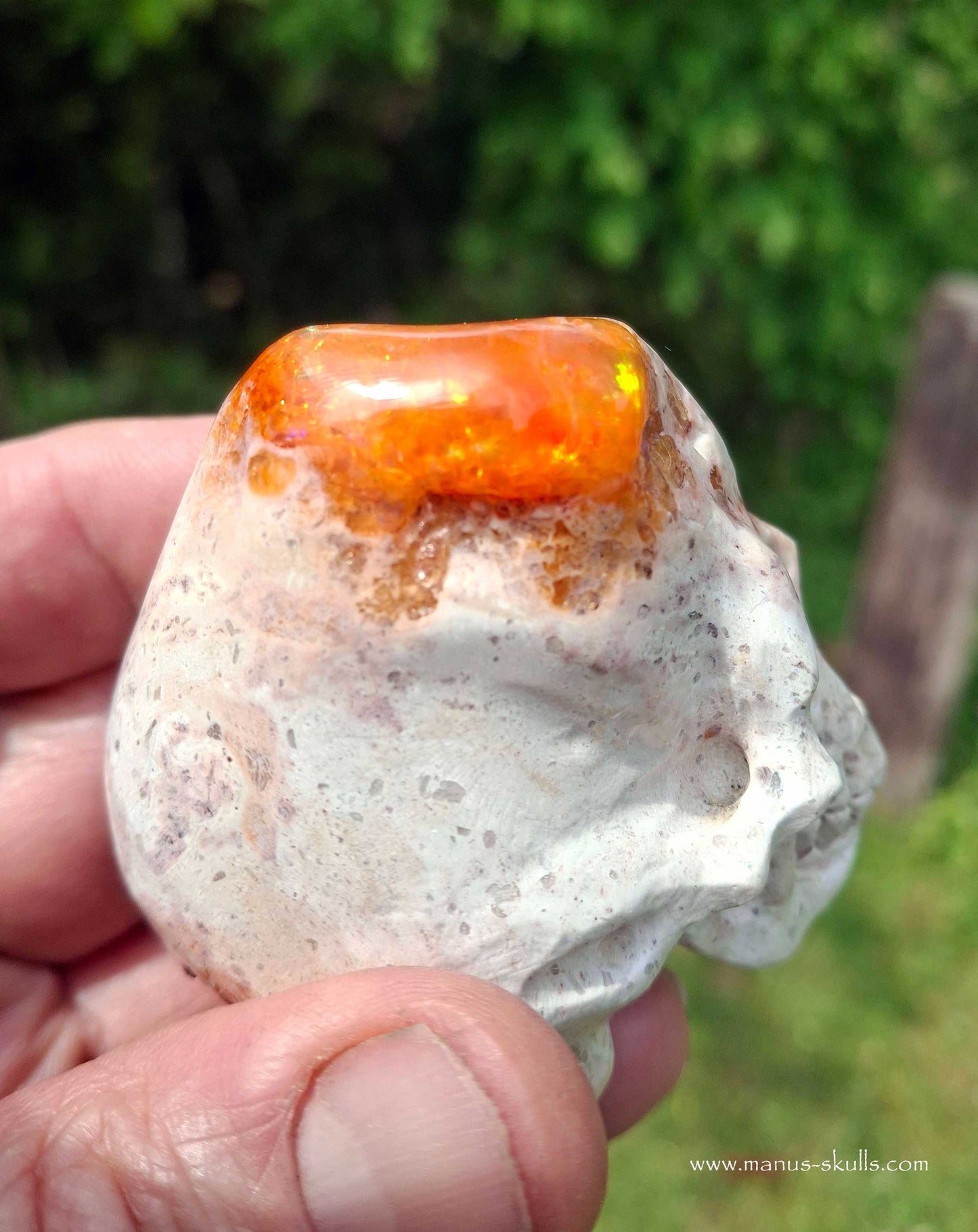 Mexican Fire Opal Skull