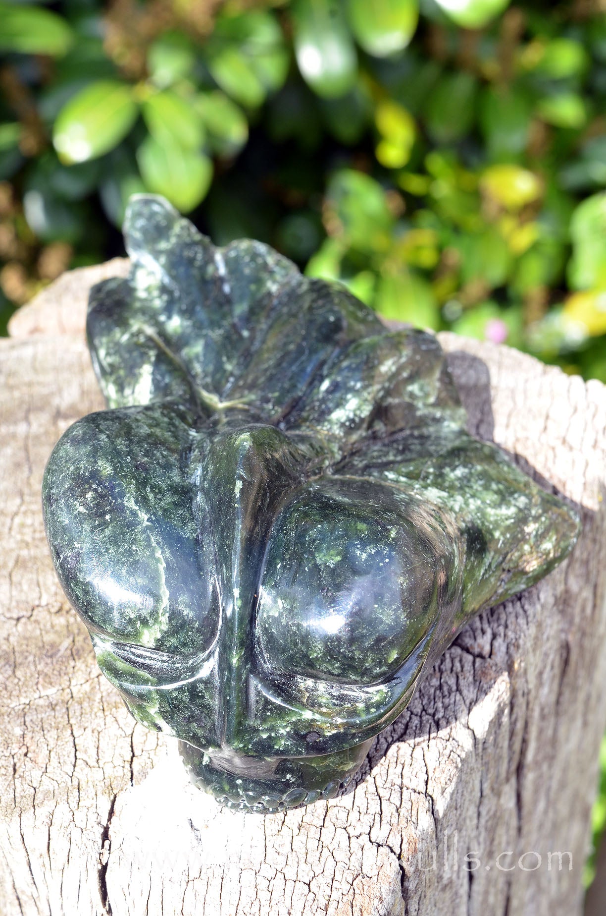 Indonesian Nephrite Jade Dragolian