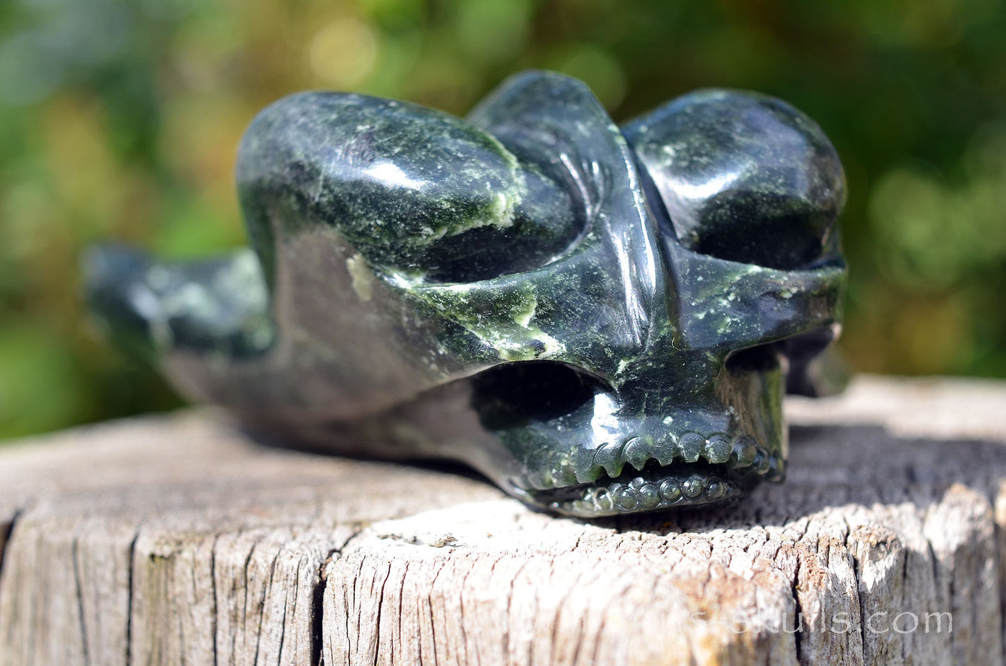 Indonesian Nephrite Jade Dragolian