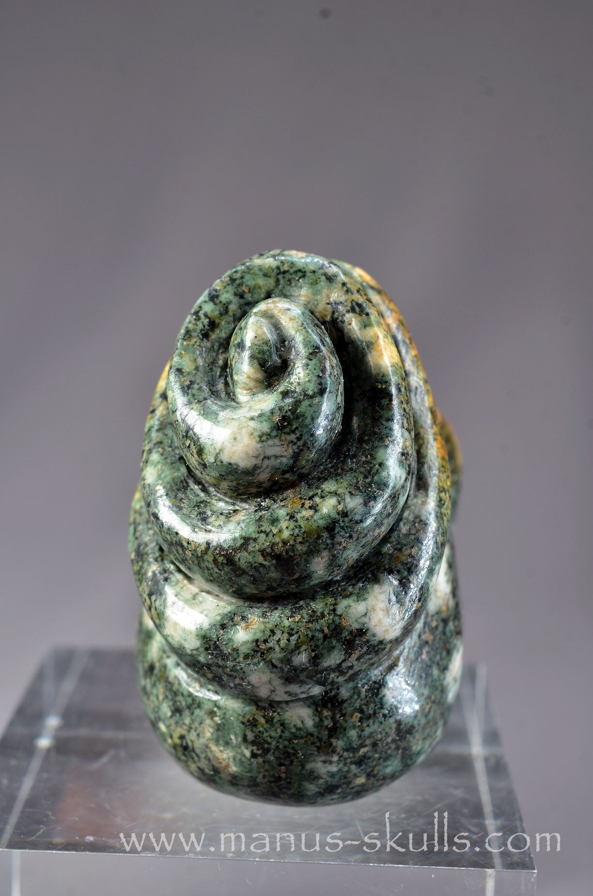 Preseli Bluestone Skull with 3-D Spiral top
