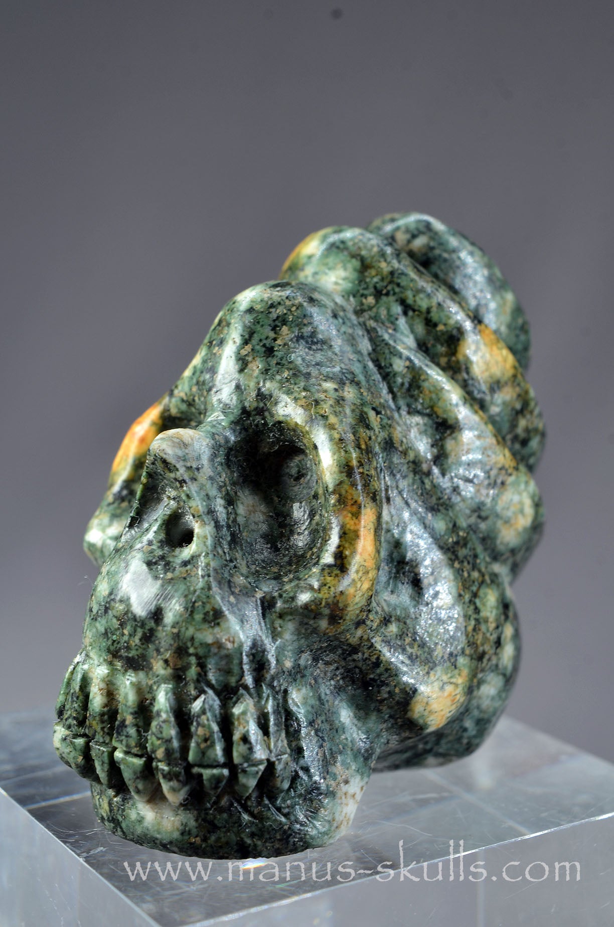 Preseli Bluestone Skull with 3-D Spiral top